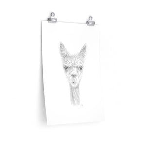 STEPHEN Llama- Art Paper Print