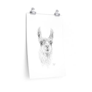 BILLIE-JO Llama- Art Paper Print