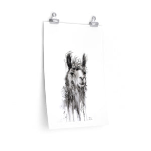 ALFONSO Llama- Art Paper Print
