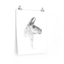 YVONNE Llama- Art Paper Print