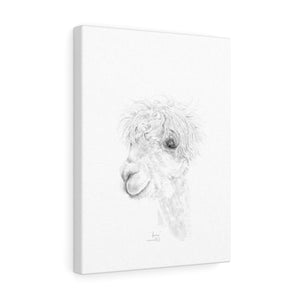 LORI Llama - Art Canvas