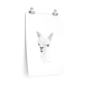 ZOE Llama- Art Paper Print