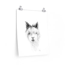 KARA Llama- Art Paper Print