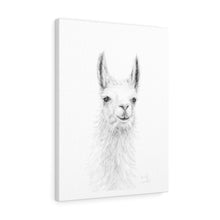 EMILY Llama - Art Canvas