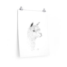 SOPHIE Llama- Art Paper Print