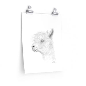 LISA Llama- Art Paper Print