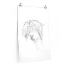 HARRISON Llama- Art Paper Print
