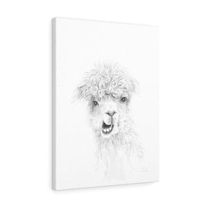 CLAIRE Llama - Art Canvas