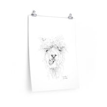 JONATHON Llama- Art Paper Print