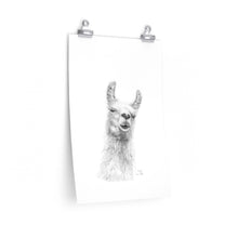 LEIGH Llama- Art Paper Print