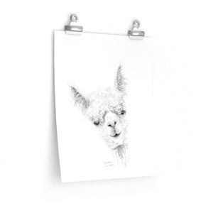 CHRISTINA Llama- Art Paper Print