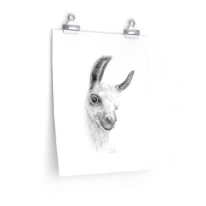 KARIN Llama- Art Paper Print