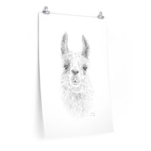 SARAH Llama- Art Paper Print