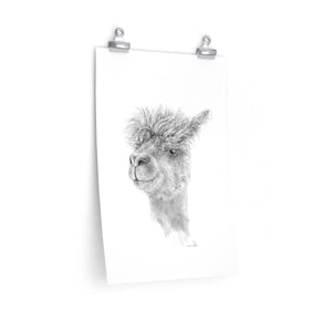 COCO Llama- Art Paper Print