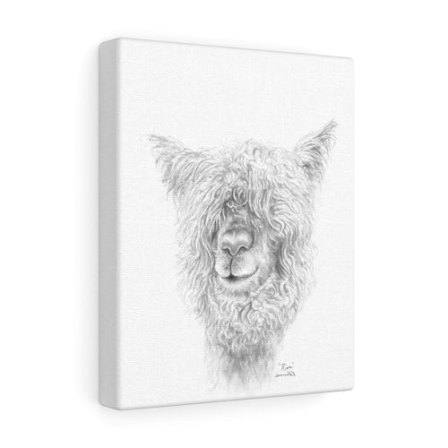 RION Llama - Art Canvas