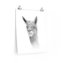 TATE Llama- Art Paper Print