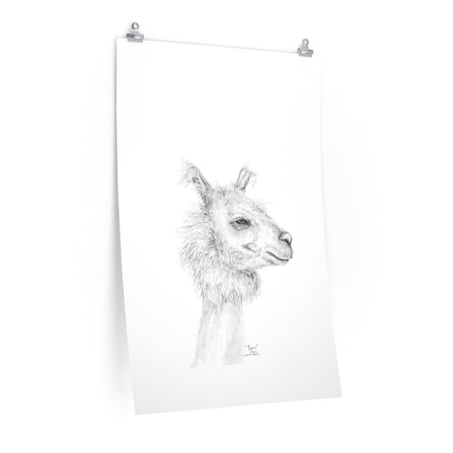 RYAN Llama- Art Paper Print