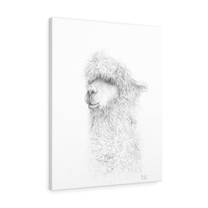 HARRIET Llama - Art Canvas