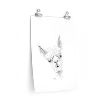 CHRISTINA Llama- Art Paper Print