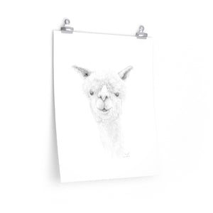 JARED Llama- Art Paper Print