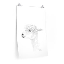 AYALKBET Llama- Art Paper Print