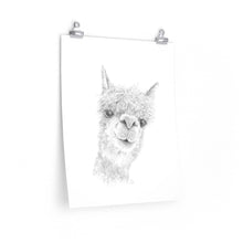 KENLEY Llama- Art Paper Print
