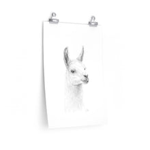 EVA Llama- Art Paper Print