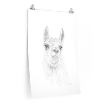 COURTNEY Llama- Art Paper Print