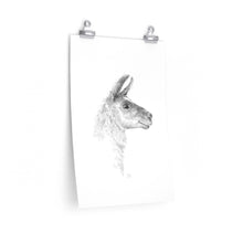 YVONNE Llama- Art Paper Print