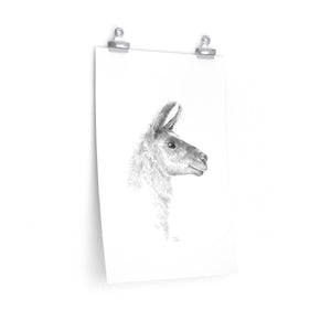 YVONNE Llama- Art Paper Print