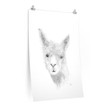 HAYDEN Llama- Art Paper Print