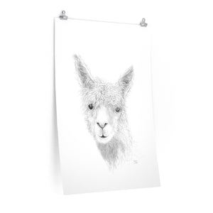 HAYDEN Llama- Art Paper Print