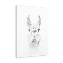 ZAILAH Llama - Art Canvas