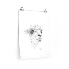 DOMINIQUE Llama- Art Paper Print