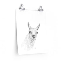SARRAH Llama- Art Paper Print