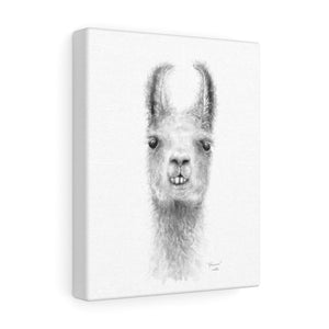 JOHANNES Llama - Art Canvas