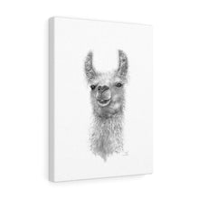 CRYSTAL Llama - Art Canvas