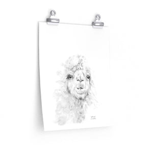 ANTONIO Llama- Art Paper Print