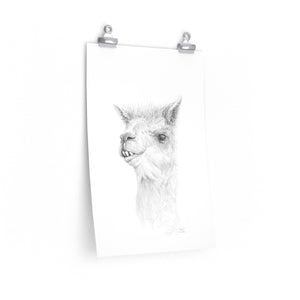 NOAH Llama- Art Paper Print