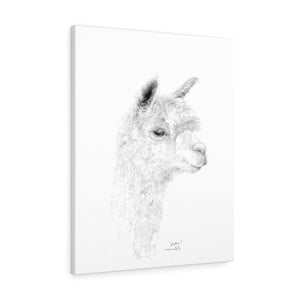 SOPHIE llama- Art Canvas