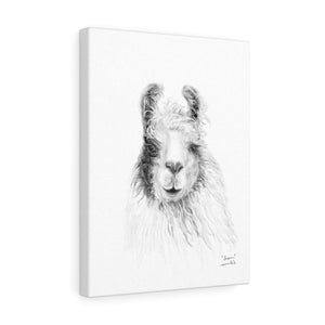 SUSAN Llama - Art Canvas