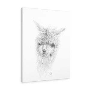LILY Llama - Art Canvas