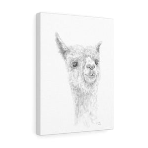 REX Llama - Art Canvas