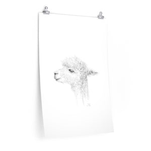TAYLOR Llama- Art Paper Print