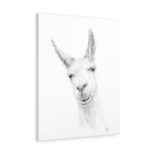 JASON Llama - Art Canvas