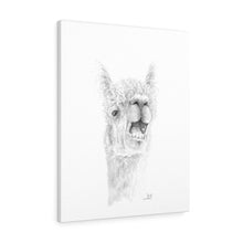 LANTY Llama - Art Canvas