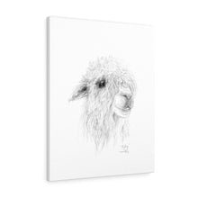 RYLEY Llama - Art Canvas