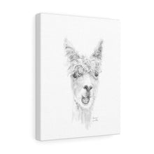 LEONA Llama - Art Canvas