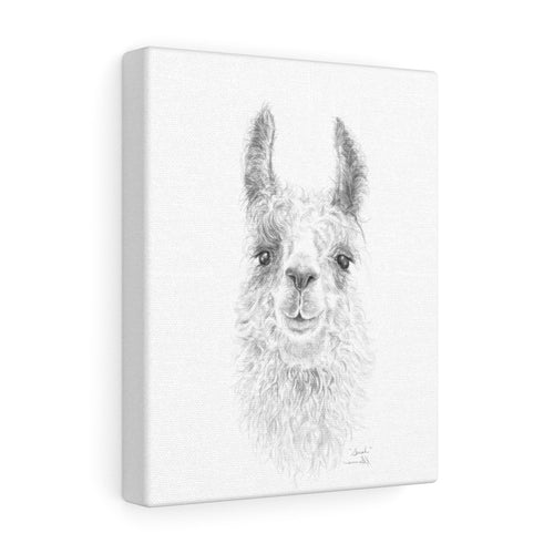 SARAH Llama - Art Canvas