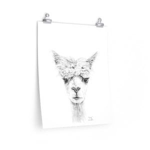 TRACY Llama- Art Paper Print
